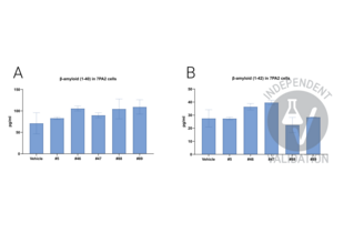 ELISA validation image for Amyloid beta 1-42 (Abeta 1-42) ELISA Kit (ABIN6964812)