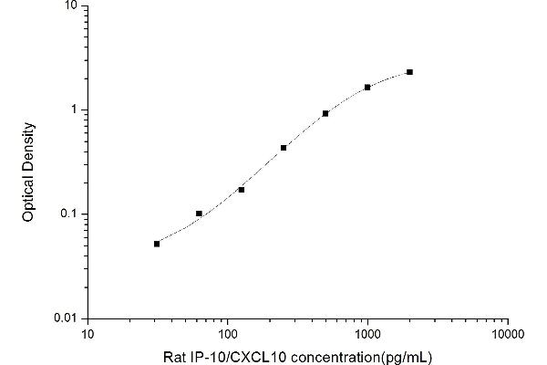 CXCL10 ELISA 试剂盒