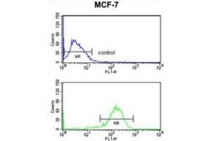 Flow Cytometry (FACS) image for anti-Interleukin 10 Receptor, alpha (IL10RA) antibody (ABIN3003900) (IL-10RA 抗体)