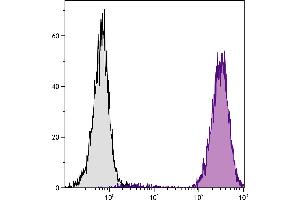 Human peripheral blood granulocytes were stained with Mouse Anti-Human CD15-PE. (CD15 抗体  (FITC))