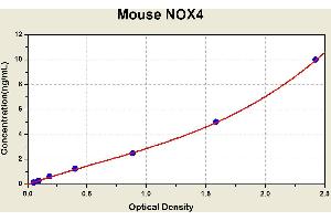 Diagramm of the ELISA kit to detect Mouse NOX4with the optical density on the x-axis and the concentration on the y-axis. (NADPH Oxidase 4 ELISA 试剂盒)