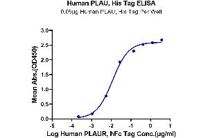 ELISA image for Plasminogen Activator, Urokinase (PLAU) (AA 21-431) protein (His tag) (ABIN7275455)