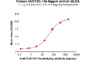ELISA plate pre-coated by 1 μg/mL (100 μL/well) Human GC protein, His Tag (ABIN7092686, ABIN7272328 and ABIN7272329) can bind Anti-GC Neutralizing antibody ([getskuurl sku