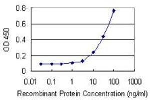 Detection limit for recombinant GST tagged SLC26A9 is 1 ng/ml as a capture antibody. (Slc26a9 抗体  (AA 496-605))