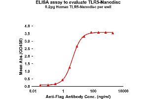 Elisa plates were pre-coated with Flag Tag -Nanodisc (0. (TLR5 蛋白)