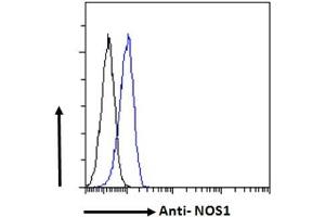 Flow Cytometry (FACS) image for anti-Nitric Oxide Synthase 1, Neuronal (NOS1) (C-Term) antibody (ABIN184662)