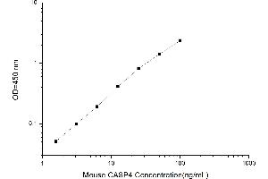 Typical standard curve (Caspase 4 ELISA 试剂盒)