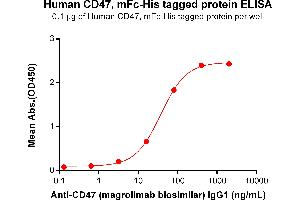 ELISA plate pre-coated by 1 μg/mL (100 μL/well) Human CD47, mFc-His tagged protein ABIN6961081, ABIN7042191 and ABIN7042192 can bind Anti-CD47(magrolimab biosimilar,IgG1) ABIN7093068 and ABIN7272598 in a linear range of 3. (Recombinant CD47 (Magrolimab Biosimilar) 抗体)