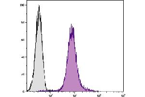 C57BL/6N T lymphocyte cell line EL-4 was stained with Hamster Anti-Mouse CD28-PE. (CD28 抗体)