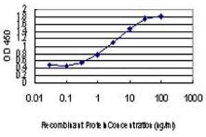 Detection limit for recombinant GST tagged ABCC8 is approximately 0. (ABCC8 抗体  (AA 611-710))