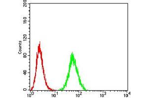 Flow Cytometry (FACS) image for anti-Eukaryotic Translation Initiation Factor 5 (EIF5) (AA 1-300) antibody (ABIN5865324) (EIF5 抗体  (AA 1-300))