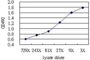 Sandwich ELISA detection sensitivity ranging from approximately 729x to 3x dilution of the IFITM3 293T overexpression lysate (non-denatured). (IFITM3 (人) Matched Antibody Pair)