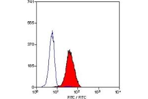 Staining of human peripheral blood monocytes with MOUSE ANTI HUMAN BLTR (ABIN119615). (Leukotriene B4 Receptor/BLT 抗体)