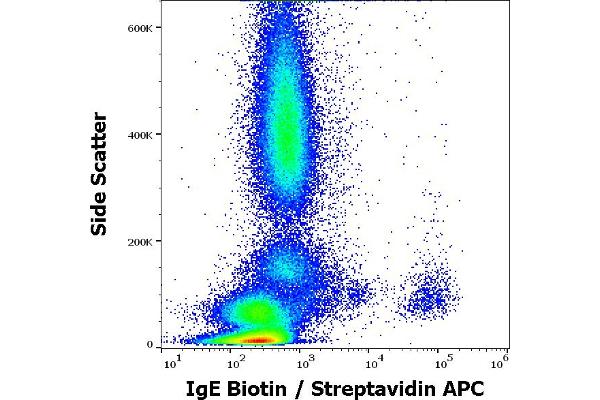 IgE 抗体  (Biotin)
