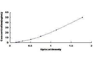 Typical Standard Curve (Myoglobin ELISA 试剂盒)