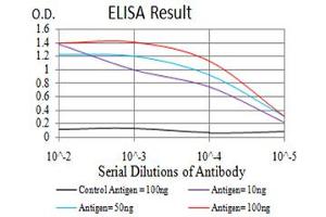 Fig. (NLRC4 抗体  (pSer533))