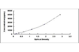 Typical standard curve (EPAS1 ELISA 试剂盒)