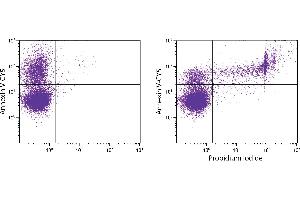 Flow Cytometry (FACS) image for Annexin V-CY5 (ABIN5706943)