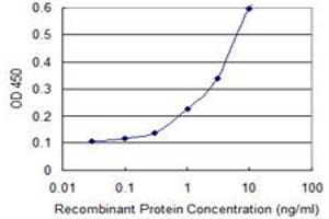 Detection limit for recombinant GST tagged ISL1 is 0. (ISL1 抗体  (AA 63-159))