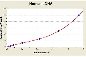 Diagramm of the ELISA kit to detect Human LDHAwith the optical density on the x-axis and the concentration on the y-axis. (Lactate Dehydrogenase A ELISA 试剂盒)