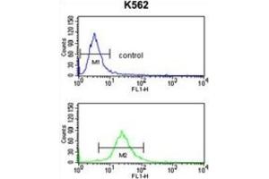 Flow Cytometry (FACS) image for anti-Solute Carrier Family 3 Member 1 (SLC3A1) antibody (ABIN3003916) (SLC3A1 抗体)