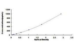 ELISA image for Chemokine (C-X-C Motif) Ligand 13 (CXCL13) ELISA Kit (ABIN424957) (CXCL13 ELISA 试剂盒)