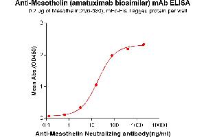 ELISA plate pre-coated by 2 μg/mL (100 μL/well) Human Mesothelin, mFc-His tagged protein ABIN6961104, ABIN7042237 and ABIN7042238 can bind Anti-Mesothelin Neutralizing antibody in a linear range of 3. (Recombinant Mesothelin (Amatuximab Biosimilar) 抗体)