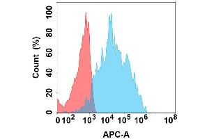 Flow cytometry analysis with Anti-IL4RA on Expi293 cells transfected with human IL4RA (Blue histogram) or Expi293 transfected with irrelevant protein (Red histogram). (IL4 Receptor 抗体)