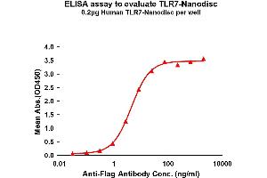 Elisa plates were pre-coated with Flag Tag -Nanodisc (0. (TLR7 蛋白)