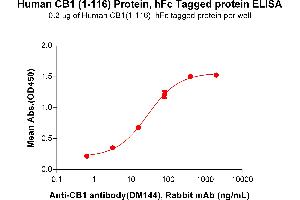 ELISA plate pre-coated by 2 μg/mL (100 μL/well) Human CB1(1-116) Protein, hFc Tag (ABIN6964092, ABIN7042439 and ABIN7042440) can bind Anti-CB1 antibody(DM144), Rabbit mAb in a linear range of 3. (CNR1 Protein (AA 1-116) (Fc Tag))