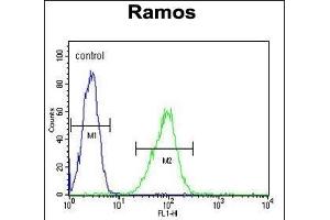 HIP1R Antibody (N-term) (ABIN655061 and ABIN2844690) flow cytometric analysis of Ramos cells (right histogram) compared to a negative control cell (left histogram). (HIP1R 抗体  (N-Term))