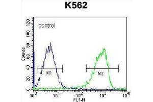 Flow Cytometry (FACS) image for anti-Zinc Finger Protein 623 (ZNF623) antibody (ABIN2996914) (ZNF623 抗体)