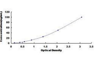 ELISA image for IgM ELISA Kit (ABIN414162) (IgM ELISA 试剂盒)