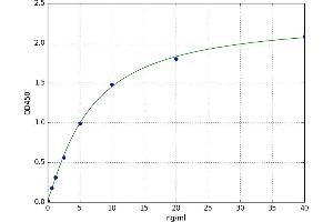 A typical standard curve (LGR4 ELISA 试剂盒)