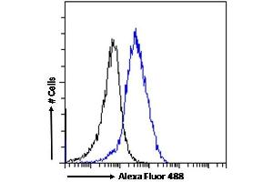 Flow Cytometry (FACS) image for anti-phosphoenolpyruvate Carboxykinase 2 (Mitochondrial) (PEPCK) (Internal Region) antibody (ABIN185483)