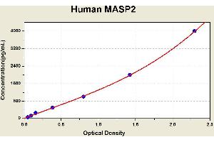 Diagramm of the ELISA kit to detect Human MASP2with the optical density on the x-axis and the concentration on the y-axis. (Mannan Associated Serine Protease 2 ELISA 试剂盒)