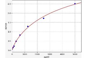 SORCS1 ELISA 试剂盒