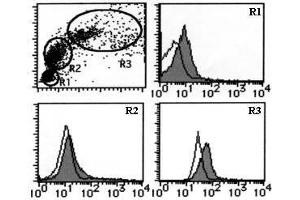 Flow Cytometry (FACS) image for anti-Transferrin Receptor (p90, CD71) (TFRC) antibody (ABIN1449271) (Transferrin Receptor 抗体)