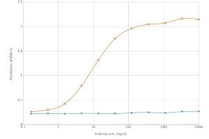 ELISA of anti-BTLA antibody on BTLA-Fc fusion protein. (Recombinant BTLA 抗体)