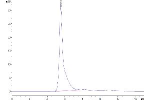 SDS-PAGE (SDS) image for CD24 Molecule (CD24) (AA 26-57) (Active) protein-VLP (ABIN7448155)