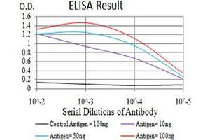 Black line: Control Antigen (100 ng);Purple line: Antigen (10ng); Blue line: Antigen (50 ng); Red line:Antigen (100 ng) (CD57 抗体  (AA 193-334))