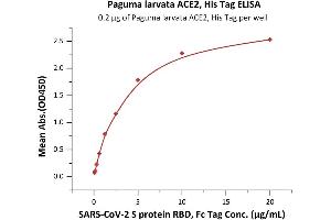 ELISA image for Angiotensin I Converting Enzyme 2 (ACE2) protein (His tag) (ABIN6952704)