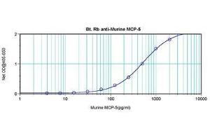 Image no. 2 for anti-Chemokine (C-C Motif) Ligand 12 (Ccl12) antibody (Biotin) (ABIN465850) (Ccl12 抗体  (Biotin))