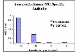 Image no. 1 for anti-Influenza Non Structural 1 antibody (Influenza A Virus H1N1) (ABIN478148) (Influenza A NS1 抗体)
