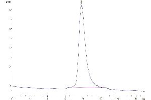 Size-exclusion chromatography-High Pressure Liquid Chromatography (SEC-HPLC) image for Interleukin 10 Receptor, alpha (IL10RA) (AA 22-235) protein (His-Avi Tag) (ABIN7274906)