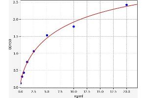 Typical standard curve (SMAD1 ELISA 试剂盒)