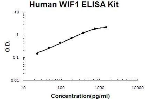 WIF1 ELISA 试剂盒
