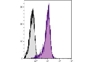 BALB/c mouse thymocytes were stained with Hamster Anti-Mouse CD28-UNLB. (CD28 抗体)