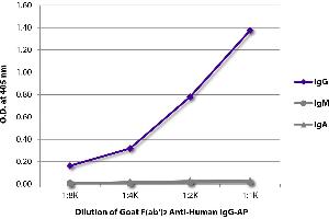 ELISA plate was coated with purified human IgG, IgM, and IgA. (山羊 anti-人 IgG (Heavy Chain) Antibody (Alkaline Phosphatase (AP)))