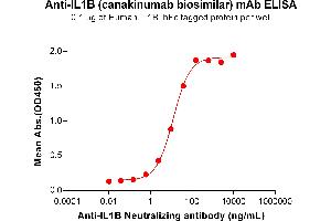ELISA plate pre-coated by 1 μg/mL (100 μL/well) Human IL1B Protein, hFc Tag (ABIN6964158, ABIN7042509 and ABIN7042510) can bind Anti-IL1B Neutralizing antibody (ABIN7478012 and ABIN7490963) in a linear range of 0. (Recombinant IL1B (Canakinumab Biosimilar) 抗体)